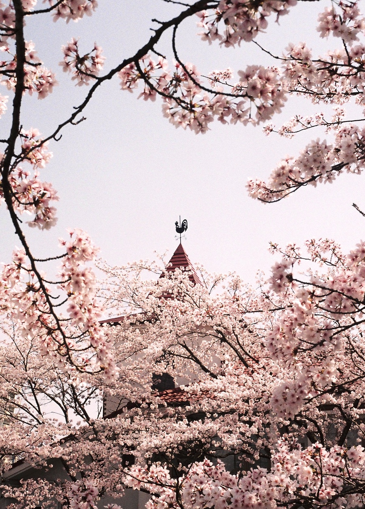投稿写真 16
