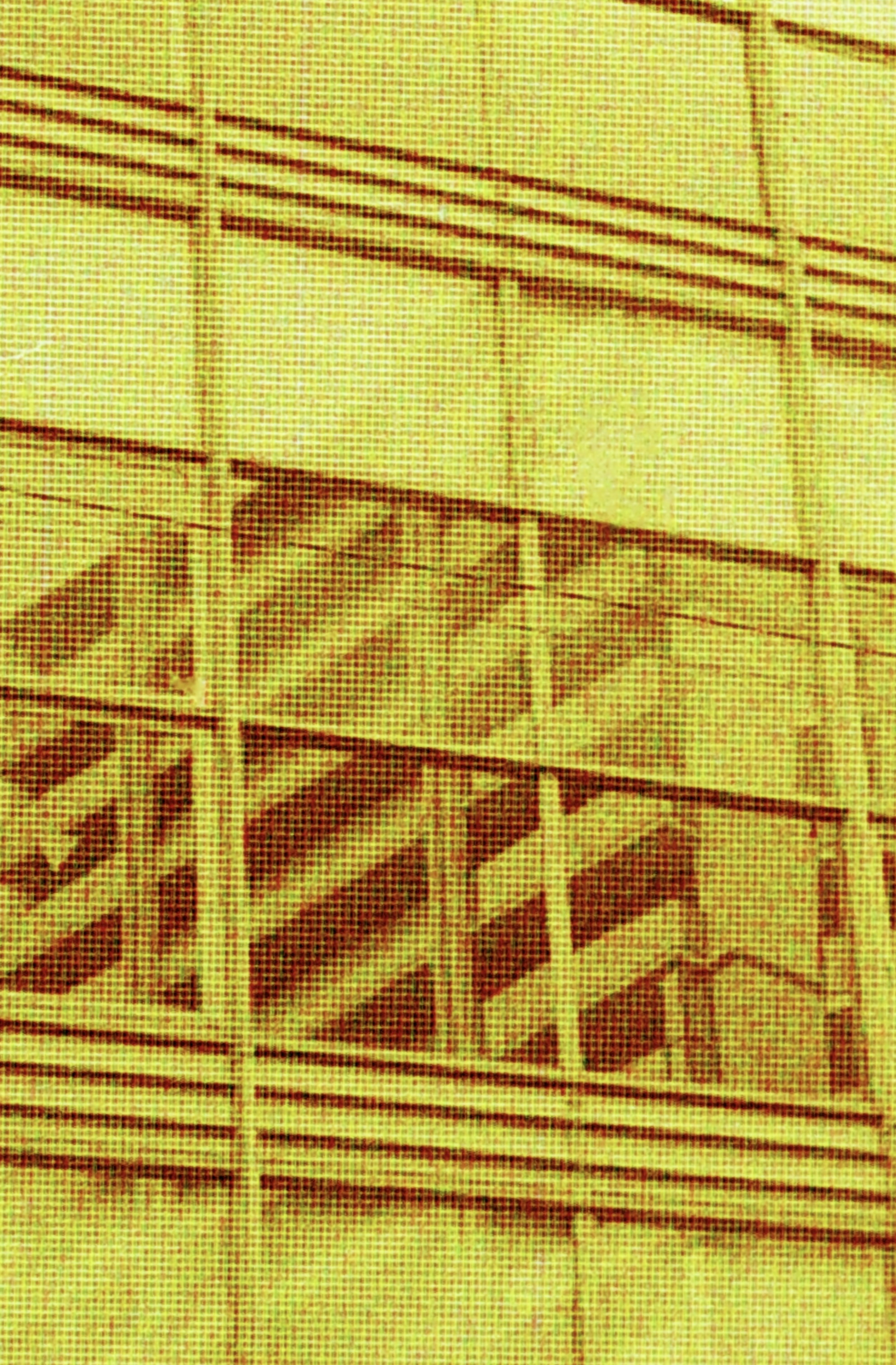 投稿写真 17