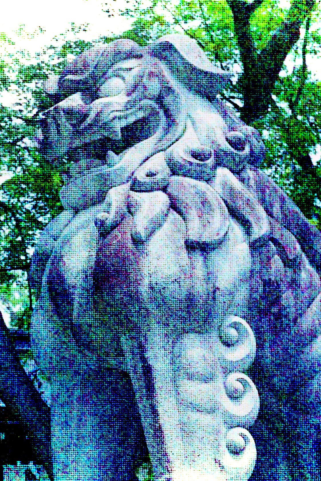 投稿写真 20