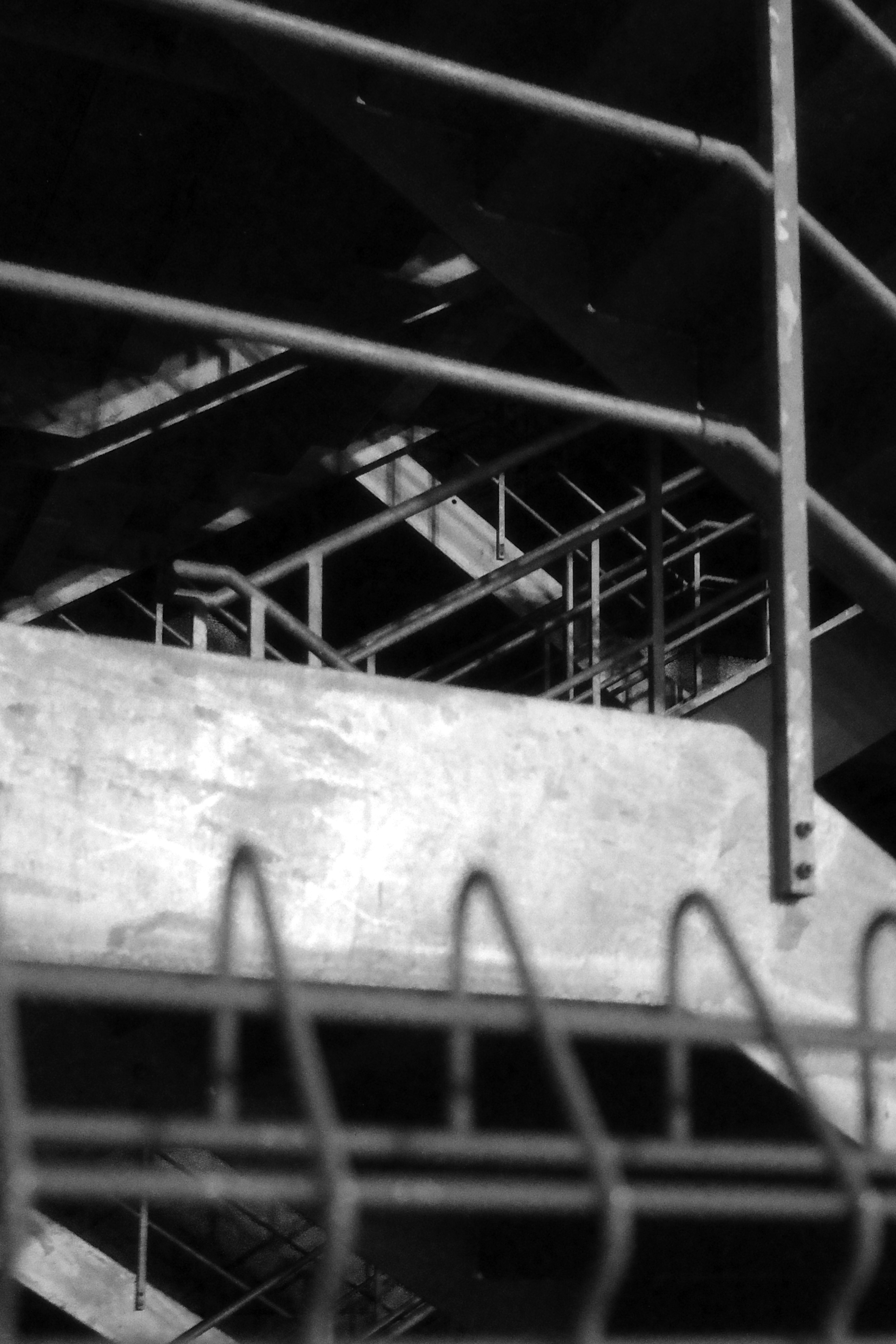 投稿写真 26