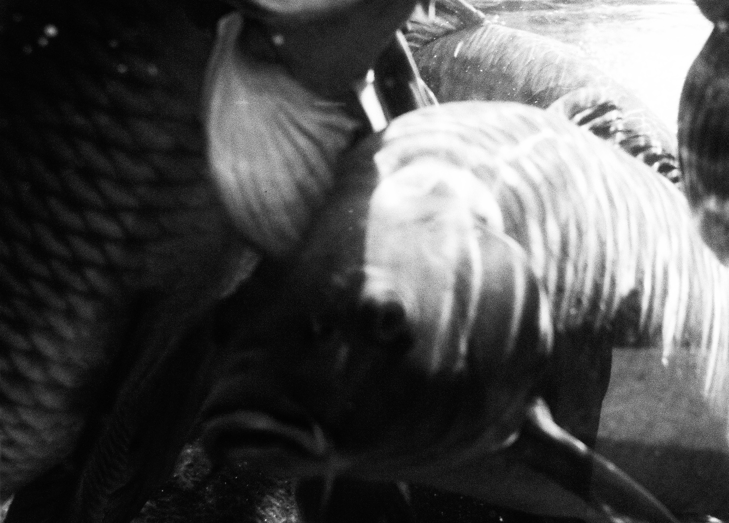 投稿写真 27